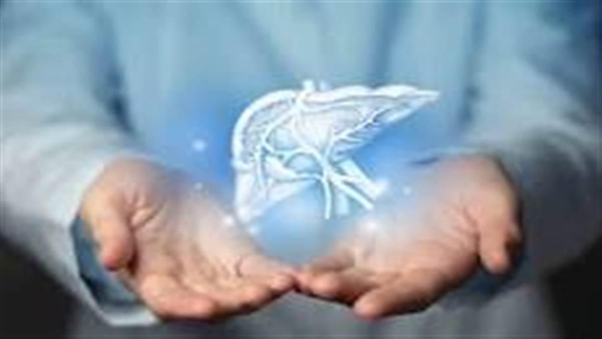 ਕੀ ਤੁਸੀਂ ਵੀ ਬੇਵਕਤ ਖਾਂਦੇ ਹੋ? ਜਾਣੋ ਕਿਵੇਂ ਤੁਹਾਡਾ ਲਿਵਰ ਗਲਤ ਸਮੇਂ 'ਤੇ ਪ੍ਰੋਟੀਨ ਛੱਡ ਕੇ ਸਰੀਰ ਨੂੰ ਕਰ ਰਿਹਾ ਹੈ ਬਿਮਾਰ