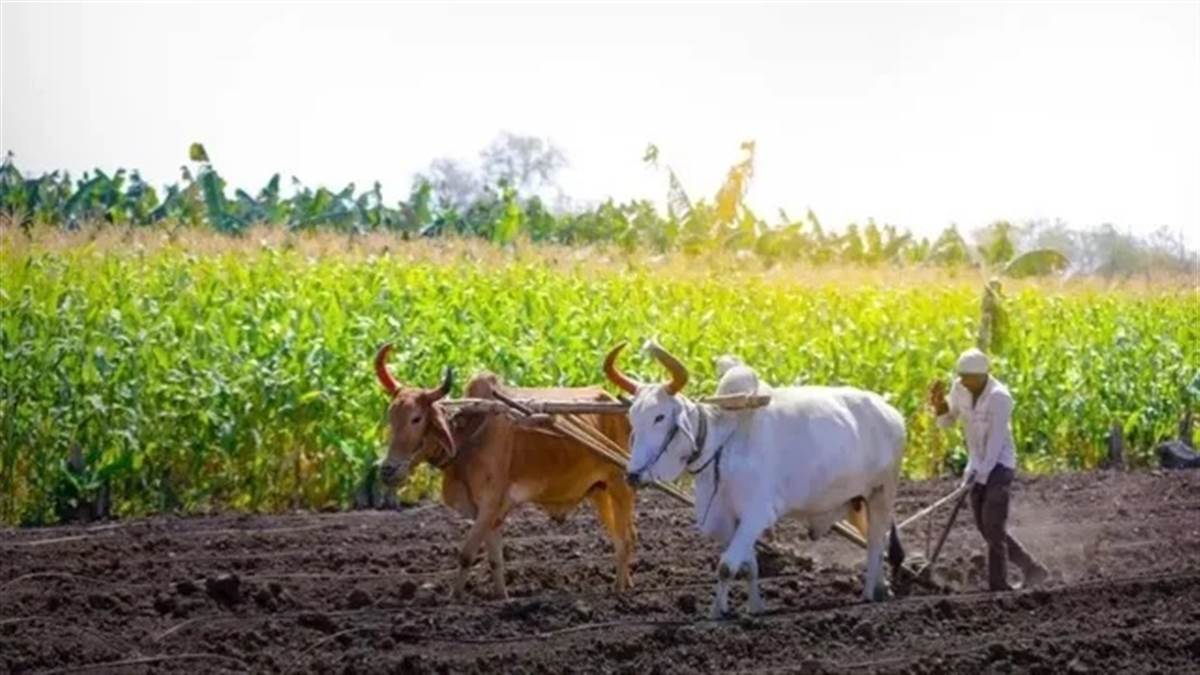 PM Kisan Yojana: ਹੋ ਗਿਆ ਫਾਈਨਲ! ਇਸ ਤਾਰੀਖ਼ ਨੂੰ ਕਿਸਾਨਾਂ ਦੇ ਖਾਤੇ ’ਚ ਆ ਸਕਦੇ ਹਨ 2-2 ਹਜ਼ਾਰ ਰੁਪਏ, ਪਰ ਇਨ੍ਹਾਂ ਨੂੰ ਨਹੀਂ ਮਿਲੇਗਾ ਲਾਭ