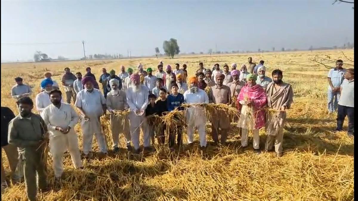 ਗੜੇਮਾਰੀ ਨਾਲ ਜ਼ਿਲ੍ਹੇ ’ਚ 10 ਹਜ਼ਾਰ ਏਕੜ ਤੋਂ ਵੱਧ ਫ਼ਸਲ ਤਬਾਹ ਹੋਣ ਦਾ ਖ਼ਦਸ਼ਾ