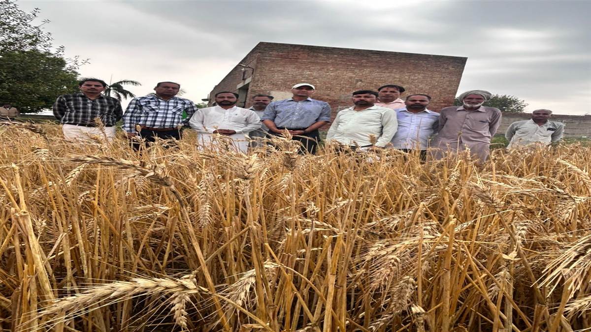 ਗੜੇਮਾਰੀ ਪ੍ਰਭਾਵਿਤ ਪਿੰਡਾਂ ਦਾ ਵਿਧਾਇਕ ਜਾਖੜ ਨੇ ਦੌਰਾ ਕੀਤਾ