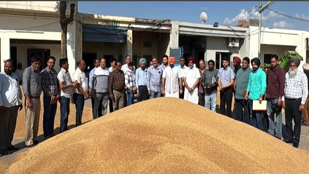 ਸਨੌਰ ਮੰਡੀ ਅੰਦਰ ਹਡਾਣਾ ਵੱਲੋਂ ਖ਼ਰੀਦ ਪ੍ਰਕਿਰਿਆ ਦਾ ਉਦਘਾਟਨ