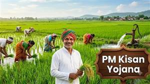 PM Kisan Yojana ਦੀ 24ਵੀਂ ਕਿਸ਼ਤ ਤੋਂ ਪਹਿਲਾਂ ਝੋਨੇ ਦੀ MSP 'ਤੇ ਵੱਡਾ ਅਪਡੇਟ, ਸਰਕਾਰ ਨੇ ਸੰਸਦ 'ਚ ਦਿੱਤੀ ਅਹਿਮ ਜਾਣਕਾਰੀ