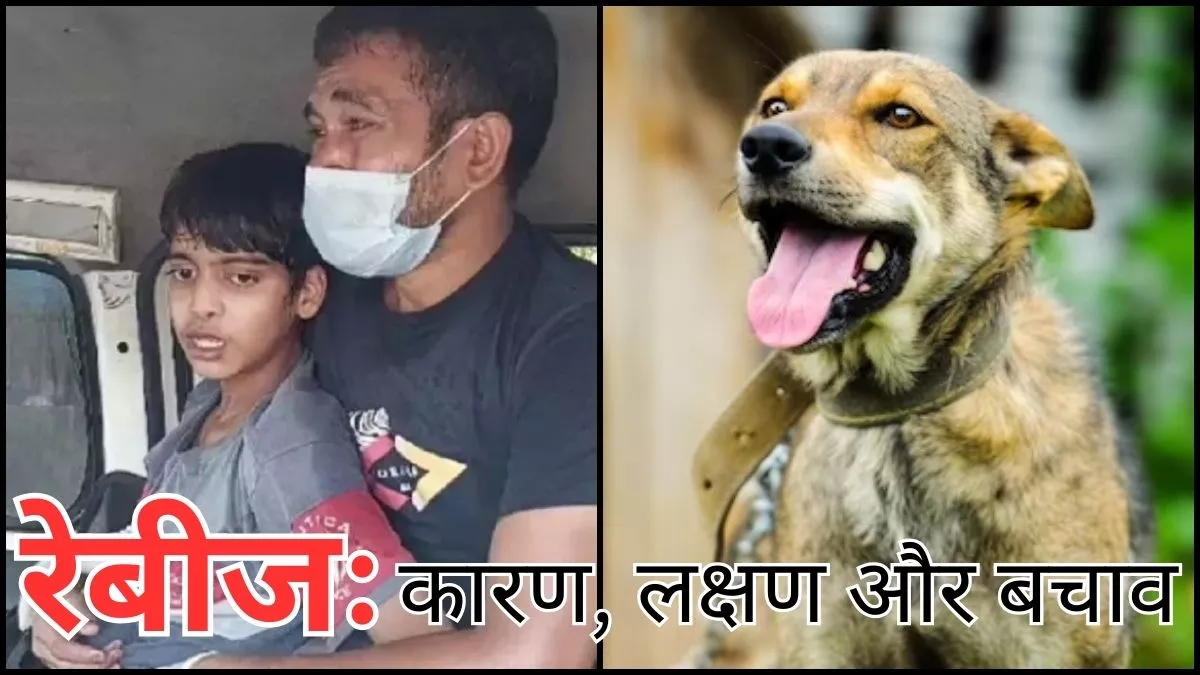 Rabies: ਗਾਜ਼ੀਆਬਾਦ 'ਚ ਕੁੱਤੇ ਦੇ ਕੱਟਣ ਨਾਲ ਰੇਬੀਜ਼ ਤੋਂ ਪੀੜਤ ਬੱਚੇ ਦੀ ਮੌਤ, ਜਾਣੋ ਇਸ ਬਿਮਾਰੀ ਬਾਰੇ ਸਭ ਕੁਝ