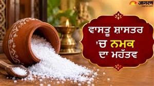 ਨਮਕ ਡਿੱਗਣ ਤੋਂ ਕਿਉਂ ਡਰਦੀਆਂ ਸਨ ਪੁਰਾਣੀਆਂ ਪੀੜ੍ਹੀਆਂ, ਕੀ ਵਾਕਈ ਕਿਸੇ ਵੱਡੇ ਸੰਕਟ ਦਾ ਹੁੰਦਾ ਹੈ ਸੰਕੇਤ?
