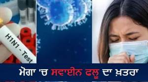 ਮੋਗਾ 'ਚ ਸਵਾਈਨ ਫਲੂ ਦਾ ਖ਼ਤਰਾ: ਤਿੰਨ ਨਵੇਂ ਕੇਸ ਪਾਜ਼ੇਟਿਵ ਆਉਣ ਤੋਂ ਬਾਅਦ ਸਿਹਤ ਵਿਭਾਗ ਹੋਇਆ ਪੂਰੀ ਤਰ੍ਹਾਂ ਅਲਰਟ