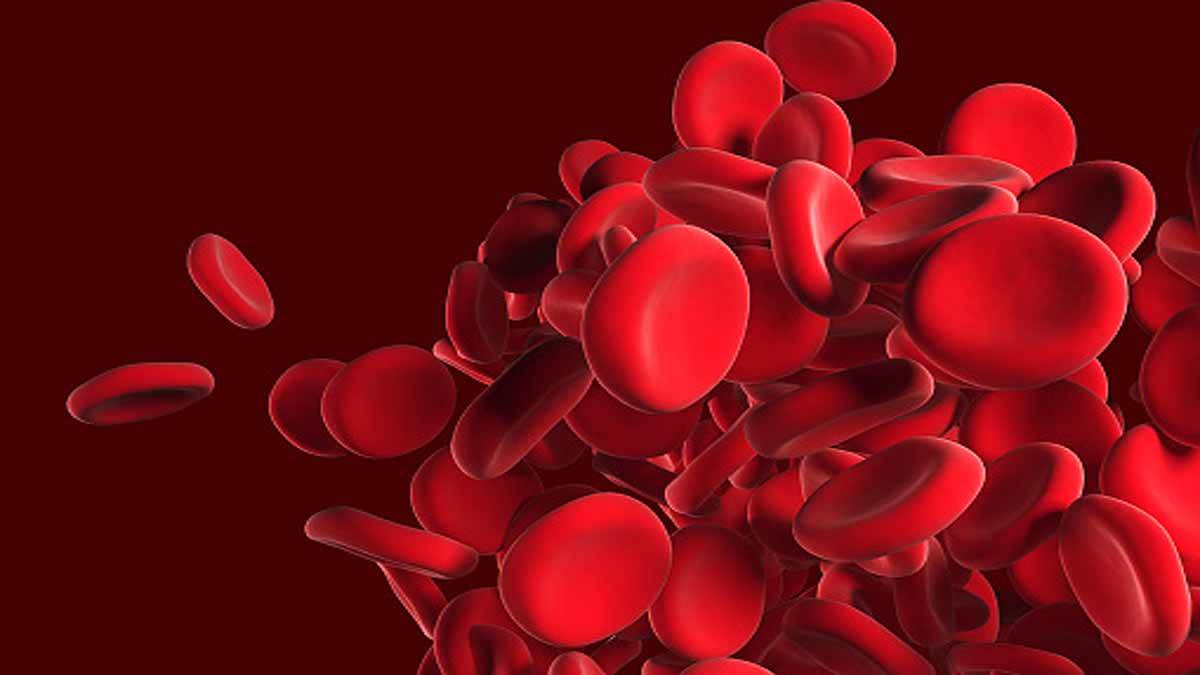 Rare Blood Group Er find by the Scientists | ਦੁਰਲੱਭ ਬਲੱਡ ਗਰੁੱਪ Er ਮਿਲਿਆ, ਨਵੇਂ ਖ਼ੂਨ 'ਚ ਅਜਿਹਾ ਪ੍ਰੋਟੀਨ ਜਿਹੜਾ ਸਿਹਤ ਬਣਾਉਂਦਾ ਵੀ ਹੈ ਤੇ ਜਾਨ ਵੀ ਲੈ ਲੈਂਦਾ ਹੈ