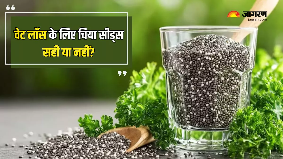 Chia Seeds: ਕੀ ਚਿਆ ਸੀਡਸ ਖਾਣ ਨਾਲ ਸੱਚਮੁੱਚ ਘੱਟ ਹੁੰਦਾ ਹੈ ਭਾਰ, ਅੱਜ ਜਾਣੋ ਇਸ ਦਾਅਵੇ ਦੀ ਸੱਚਾਈ