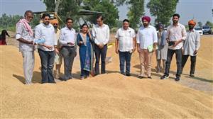 ਡੋਡ ਮੰਡੀ ’ਚ ਝੋਨੇ ਦੀ ਸਰਕਾਰੀ ਖਰੀਦ ਸ਼ੁਰੂ ਕਰਵਾਈ