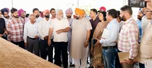 ਪੰਜਾਬ ਸਰਕਾਰ ਵੱਲੋਂ ਝੋਨੇ ਦੀ ਨਿਰਵਿਘਨ ਖ਼ਰੀਦ, ਲਿਫਟਿੰਗ ਤੇ ਅਦਾਇਗੀ ਜਾਰੀ : ਕਟਾਰੂਚੱਕ