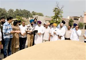 ਕਿਸਾਨਾਂ, ਮਜ਼ਦੂਰਾਂ ਤੇ ਆੜ੍ਹਤੀਆਂ ਨੂੰ ਦਿੱਕਤ ਨਹੀਂ ਆਉਣ ਦਿੱਤੀ ਜਾਵੇਗੀ: ਦਹੀਆ