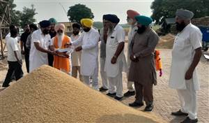 ਡਾ. ਚਰਨਜੀਤ ਨੇ ਸ਼ੁਰੂ ਕਰਵਾਈ ਝੋਨੇ ਦੀ ਬੋਲੀ