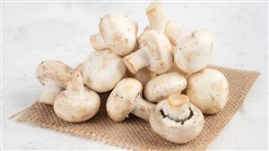 Mushroom Benefits In Winter: ਕੋਲੈਸਟ੍ਰੋਲ ਘੱਟ ਕਰਨ ਤੋਂ ਲੈ ਕੇ ਭਾਰ ਤੱਕ, ਸਰਦੀਆਂ 'ਚ ਮਸ਼ਰੂਮ ਖਾਣ ਦੇ ਹੈਰਾਨੀਜਨਕ ਫ਼ਾਇਦੇ