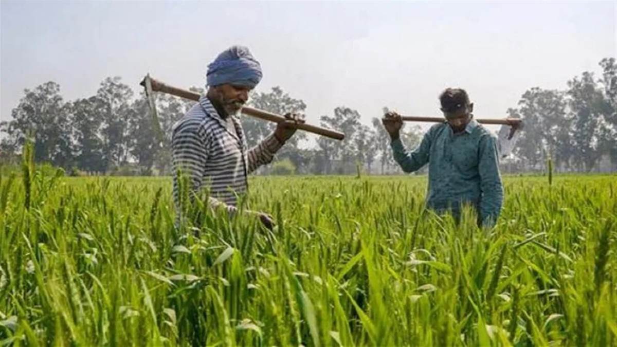 Kisan Portal Farmers can now complain directly the government has created a farmer grievance redressal portal