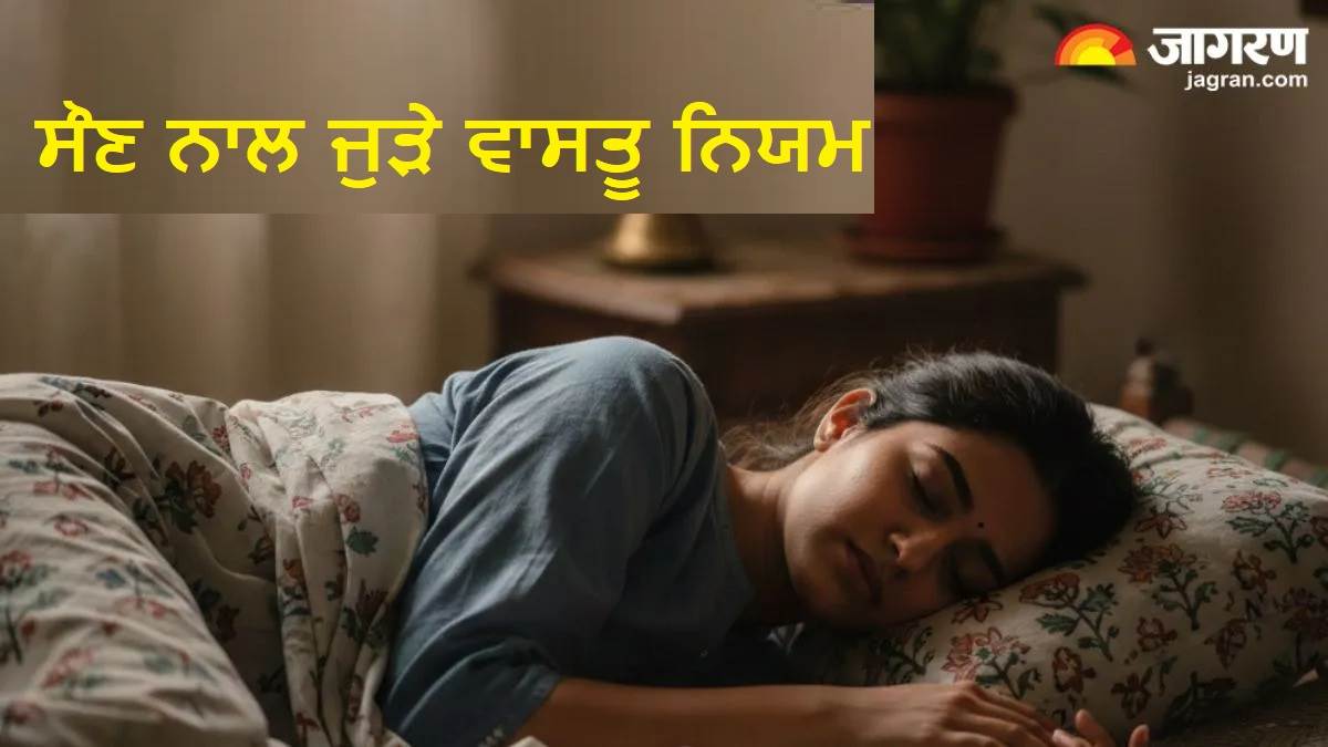 Vastu Tips : ਕਿਹੜੀ ਦਿਸ਼ਾ ਵੱਲ ਸਿਰ ਕਰ ਕੇ ਸੌਣਾ ਹੁੰਦੈ ਸ਼ੁਭ ? ਜ਼ਰੂਰ ਧਿਆਨ 'ਚ ਰੱਖੋ ਵਾਸਤੂ ਟਿਪਸ