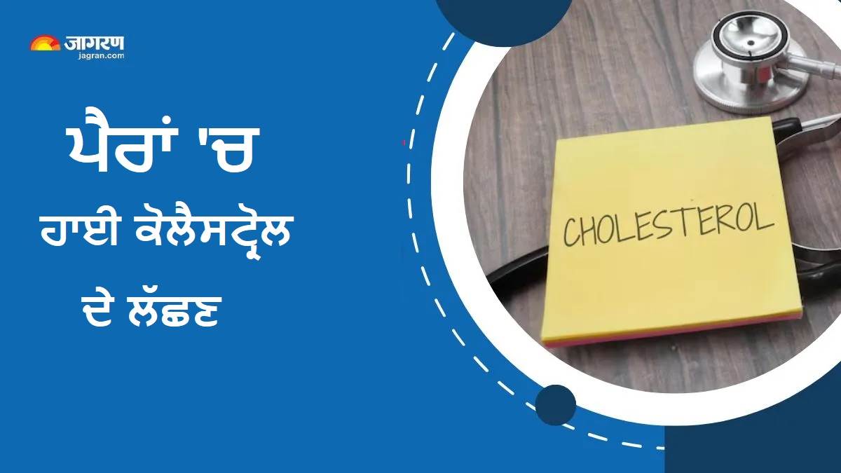 ਰਾਤ ਨੂੰ ਪੈਰਾਂ 'ਚ ਨਜ਼ਰ ਆ ਸਕਦੇ ਹਨ ਹਾਈ ਕੋਲੈਸਟ੍ਰੋਲ ਦੇ ਇਹ 5 ਲੱਛਣ, ਦਿਖਾਈ ਦਿੰਦੇ ਹੀ ਡਾਕਟਰ ਤੋਂ ਕਰਵਾ ਲਓ ਟੈਸਟ