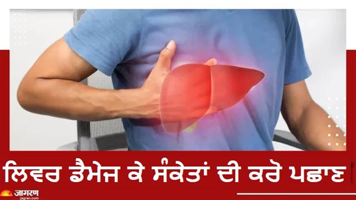 ਕਿਉਂ ਲੰਬੇ ਸਮੇਂ ਤਕ ਬਿਮਾਰੀ ਛੁਪਾ ਕੇ ਰੱਖਦੈ ਲਿਵਰ, ਕਿਹੜੇ ਸੰਕੇਤਾਂ ਨੂੰ ਨਜ਼ਰਅੰਦਾਜ਼ ਕਰਨਾ ਪੈ ਸਕਦਾ ਹੈ ਭਾਰੀ?