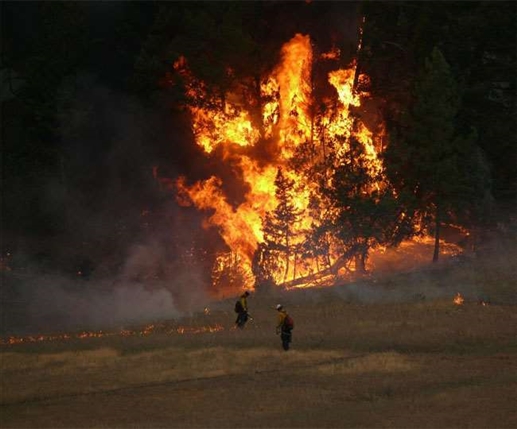 Wildfire: ਨਿਊ ਮੈਕਸੀਕੋ ਦੇ ਜੰਗਲਾਂ 'ਚ ਲੱਗੀ ਅੱਗ ਬਣਾ ਰਹੀ ਲੋਕਾਂ ਦੀ ਜ਼ਿੰਦਗੀ ਨੂੰ ਨਰਕ, ਤੇਜ਼ ਹਵਾ ਨੇ ਸਾਰਿਆਂ ਦੀਆਂ ਵਧਾਈਆਂ ਪਰੇਸ਼ਾਨੀਆਂ