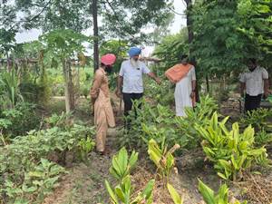 ਪੀਏਯੂ ਦੇ ਵਧੀਕ ਨਿਰਦੇਸ਼ਕ (ਪਸਾਰ ਸਿੱਖਿਆ) ਵੱਲੋਂ ਅਗਾਂਹਵਧੂ ਕਿਸਾਨਾਂ ਦੇ ਖੇਤਾਂ ਦਾ ਦੌਰਾ