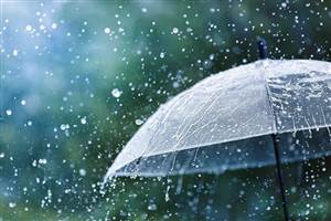 Weather Update: ਮੌਨਸੂਨ ਹੁਣ ਉੱਤਰ ਭਾਰਤ ’ਚ ਸਰਗਰਮ, ਹਫ਼ਤਾ ਭਰ ਹੋਵੇਗੀ ਬਾਰਿਸ਼; ਤਾਪਮਾਨ ’ਚ ਗਿਰਾਵਟ ਦੇ ਨਾਲ-ਨਾਲ ਹੁਮਸ ਭਰੀ ਗਰਮੀ ਤੋਂ ਮਿਲੇਗੀ ਰਾਹਤ