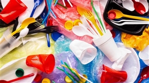 Plastic Ban : ਪੰਜ ਸਾਲਾਂ 'ਚ 21 ਫ਼ੀਸਦੀ ਵਧੀ ਪਲਾਸਟਿਕ ਦੀ ਖਪਤ, ਸਿਰਫ 16 ਫ਼ੀਸਦੀ ਹੀ ਹੋ ਸਕਿਆ ਰੀਸਾਈਕਲ