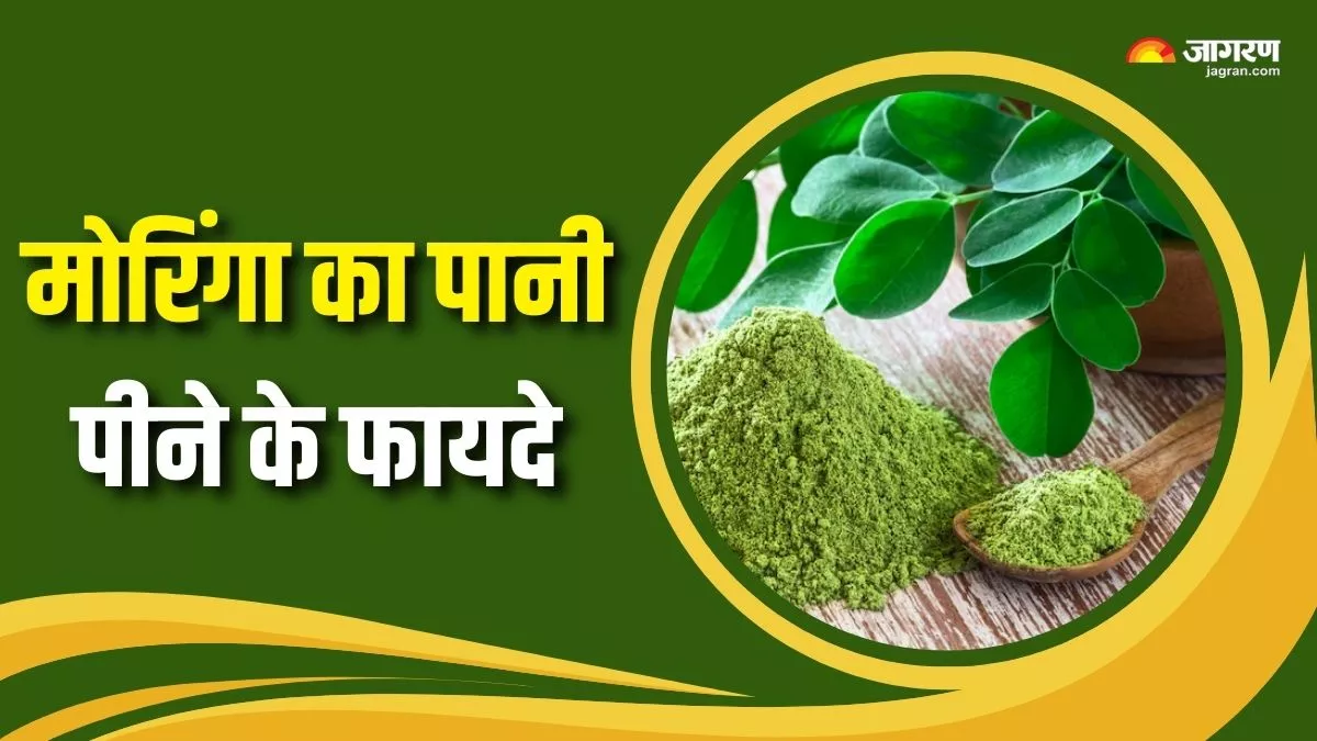 ਰੋਜ਼ ਸਵੇਰੇ ਉੱਠ ਕੇ ਪੀਓ ਮੋਰਿੰਗਾ ਦੇ ਪੱਤਿਆਂ ਦਾ ਪਾਣੀ, ਇੱਕ-ਦੋ ਨਹੀਂ ਬਲਕਿ ਮਿਲਣਗੇ 7 ਹੈਰਾਨੀਜਨਕ ਫਾਇਦੇ