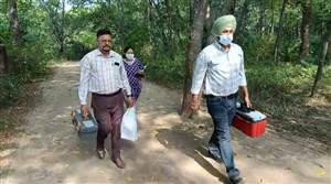 ਪੀਰਮੁਛੱਲਾ ਦੇ ਨੇਚਰ ਪਾਰਕ 'ਚੋਂ ਮਿਲੀ ਨੌਜਵਾਨ ਦੀ ਲਾਸ਼, ਸਿਰ ਧੜ ਨਾਲੋਂ ਵੱਖ