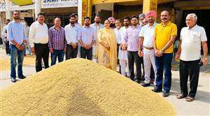 ਵਿਧਾਇਕਾ ਸੰਤੋਸ਼ ਕਟਾਰੀਆ ਨੇ ਝੋਨੇ ਦੀ ਸਰਕਾਰੀ ਖ਼ਰੀਦ ਕਰਵਾਈ ਸ਼ੁਰੂ