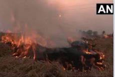 Stubble Burning : ਪੰਜਾਬ-ਹਰਿਆਣਾ ਵਿੱਚ ਪਰਾਲੀ ਸਾੜਨ ਦੇ ਮਾਮਲੇ ਵਧੇ, ਪੰਜਾਬ ’ਚ 179 ਤੇ ਹਰਿਆਣਾ ’ਚ 125 ਮਾਮਲੇ ਆਏ ਸਾਹਮਣੇ