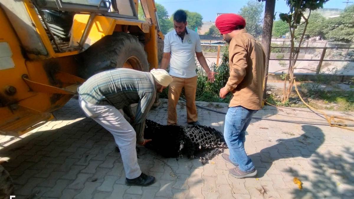 ਮੁੱਖ ਵਾਟਰ ਵਰਕਸ ਵਿਖੇ ਜੰਗਲੀ ਸੂਰ ਫੜਿਆ