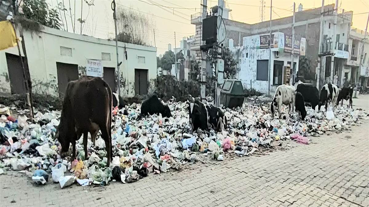 ਥਾਂ-ਥਾਂ ਲੱਗੇ ਕੂੜੇ ਦੇ ਅੰਬਾਰ ਸ਼ਹਿਰ ਵਾਸੀਆਂ ਲਈ ਬਣ ਰਹੇ ਸਰਾਪ