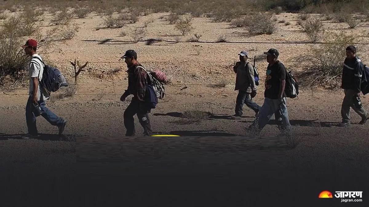 'ਪੈਸਾ ਵੀ ਗਿਆ ਤੇ ਜ਼ਮੀਨ ਵੀ': ਅਮਰੀਕਾ ਤੋਂ ਵਾਪਸ ਭੇਜੇ ਗਏ 33 ਨੌਜਵਾਨਾਂ ਦੀ ਹੱਡਬੀਤੀ, ਹਰਿਆਣਾ ਦੇ ਨੌਜਵਾਨਾਂ ਦੀ ਗਿਣਤੀ ਸਭ ਤੋਂ ਵੱਧ