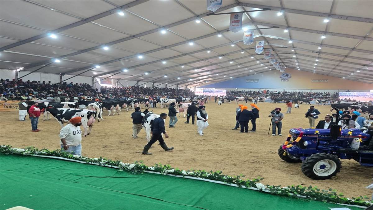 ਪੀਡੀਐੱਫਏ ਐਕਸਪੋ ਦੇ ਜੇਤੂਆਂ ’ਤੇ ਵਰ੍ਹਿਆ ਇਨਾਮਾਂ ਦਾ ‘ਮੀਂਹ’