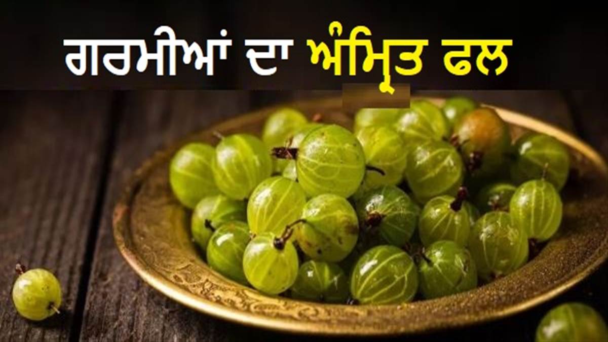 ਗਰਮੀਆਂ 'ਚ ਫਿੱਟ ਰਹਿਣ ਦਾ ਸੀਕ੍ਰੇਟ ਹੈ ਇਹ ਖੱਟਾ ਫਲ, ਰੋਜ਼ਾਨਾ ਖਾ ਲਿਆ ਤਾਂ ਸਿਹਤ ਨੂੰ ਮਿਲਣਗੇ ਜ਼ਬਰਦਸਤ ਫਾਇਦੇ