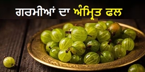 ਗਰਮੀਆਂ 'ਚ ਫਿੱਟ ਰਹਿਣ ਦਾ ਸੀਕ੍ਰੇਟ ਹੈ ਇਹ ਖੱਟਾ ਫਲ, ਰੋਜ਼ਾਨਾ ਖਾ ਲਿਆ ਤਾਂ ਸਿਹਤ ਨੂੰ ਮਿਲਣਗੇ ਜ਼ਬਰਦਸਤ ਫਾਇਦੇ