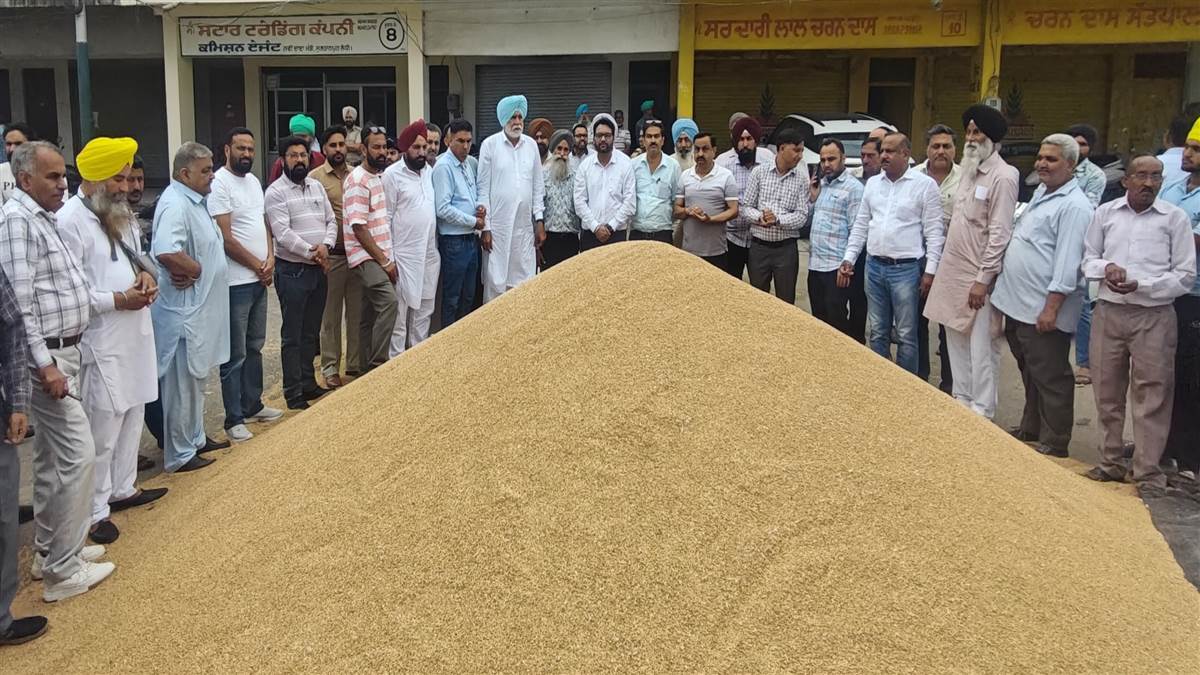 ਸੁਲਤਾਨਪੁਰ ਲੋਧੀ ਅਨਾਜ ਮੰਡੀ ਵਿਖੇ ਕਣਕ ਦੀ ਆਮਦ ਸ਼ੁਰੂ