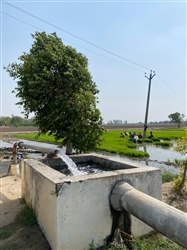 ਝੋਨੇ ਦੀ ਲੁਆਈ ਦਾ ਆਖਰੀ ਪੜਾਅ ਸ਼ੁਰੂ, ਬਿਜਲੀ ਦੀ ਮੰਗ ਵਧੀ