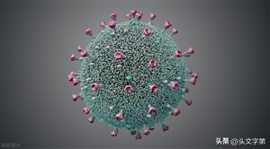 Zoonotic Langya virus : ਚੀਨ 'ਚ ਮਿਲਿਆ ਜੂਨੋਟਿਕ ਲੰਗਿਆ ਨਾਂ ਦਾ ਨਵਾਂ ਵਾਇਰਸ, ਹੁਣ ਤਕ 35 ਲੋਕ ਇਨਫੈਕਟਿਡ