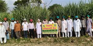 ਖੇਤੀ ਵਿਭਿੰਨਤਾ ਤਹਿਤ ਗੰਨੇ ਦੀ ਬਿਜਾਈ ਸਬੰਧੀ ਕੈਂਪ ਲਾਇਆ