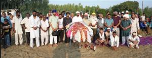 ਦਰਬਾਰ ਬਾਬਾ ਗੁੱਗਾ ਜ਼ਾਹਰ ਪੀਰ ਪ੍ਰਬੰਧਕ ਕਮੇਟੀ ਨੇ ਕਰਵਾਇਆ ਛਿੰਝ ਮੇਲਾ