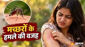 ਮੱਛਰ ਸਾਰਿਆਂ ਨੂੰ ਨਹੀਂ ਵੱਢਦੇ ! ਹਜ਼ਾਰਾਂ ਦੀ ਭੀੜ 'ਚ ਤੁਹਾਨੂੰ ਹੀ ਕਿਉਂ ਬਣਾਉਂਦੇ ਹਨ ਨਿਸ਼ਾਨਾ, ਵਿਗਿਆਨੀਆਂ ਨੇ ਦਿੱਤਾ ਜਵਾਬ