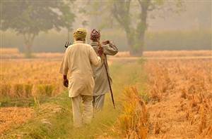 ਪੰਜਾਬ ਦੇ ਕਿਸਾਨਾਂ ਲਈ ਜ਼ਰੂਰੀ ਖ਼ਬਰ: ਸਰਕਾਰੀ ਯੋਜਨਾਵਾਂ ਤੇ ਸਬਸਿਡੀ ਦਾ ਲਾਭ ਲੈਣ ਲਈ ਜਲਦ ਬਣਵਾਓ 'ਕਿਸਾਨ ਆਈਡੀ', ਜਾਣੋ ਪੂਰਾ ਤਰੀਕਾ
