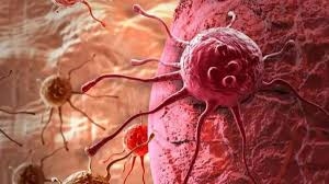 ਬਲੱਡ ਕੈਂਸਰ ਦੇ ਇਲਾਜ ’ਚ ਜਾਗੀ ਨਵੀਂ ਉਮੀਦ ਦੀ ਕਿਰਨ, ਇਸ ਨਵੀਂ ਐਂਟੀਬਾਡੀ ਥੈਰੇਪੀ ਨਾਲ ਇਲਾਜ ਸੰਭਵ