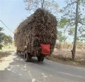 ਟਿੱਪਰ ਚਾਲਕ ਨੇ ਕਾਰ ਨੂੰ ਮਾਰੀ ਸਾਈਡ,  ਤੂੜੀ ਨਾਲ ਓਵਰਲੋਡ ਟਰਾਲੀ ਦਾ ਫਟਿਆ ਟਾਇਰ; ਫਿਰ ਜੋ ਹੋਇਆ...