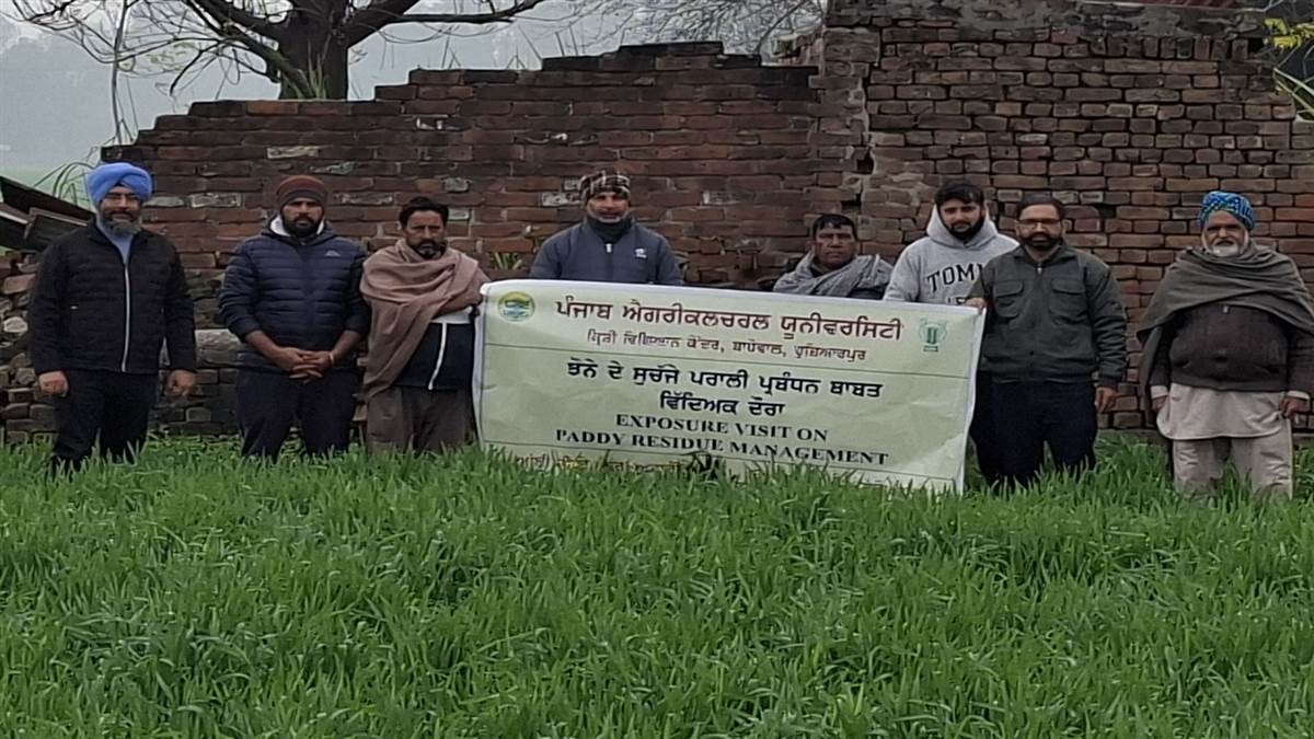 ਪਰਾਲੀ ਸਾੜਨ ਤੋਂ ਬਚਾਅ ਲਈ ਸਰਫੇਸ ਸੀਡਰ ਤਕਨੀਕ ਪ੍ਰਭਾਵਸ਼ਾਲੀ: ਕੇਵੀਕੇ