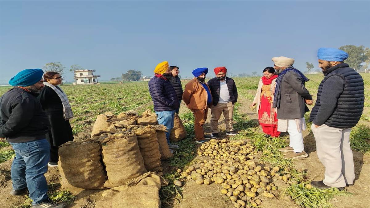 ਮਟਰਾਂ ਅਤੇ ਆਲੂਆਂ ਦੀਆਂ ਬਿਮਾਰੀਆਂ ਸਬੰਧੀ ਕਿਸਾਨ-ਵਿਗਿਆਨੀਆਂ ਦੀ ਹੋਈ ਵਿਚਾਰ ਗੋਸ਼ਟੀ