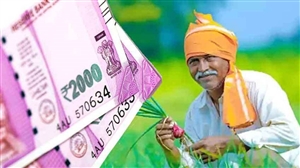 PM Kisan Samman Nidhi : ਨਹੀਂ ਮਿਲੀ ਪ੍ਰਧਾਨ ਮੰਤਰੀ ਕਿਸਾਨ ਦੀ ਕਿਸ਼ਤ? ਤੁਰੰਤ ਕਰੋ ਇਹ ਕੰਮ; ਪੈਸੇ ਸਿੱਧੇ ਜਾਣਗੇ ਬੈਂਕ ਖਾਤੇ 'ਚ