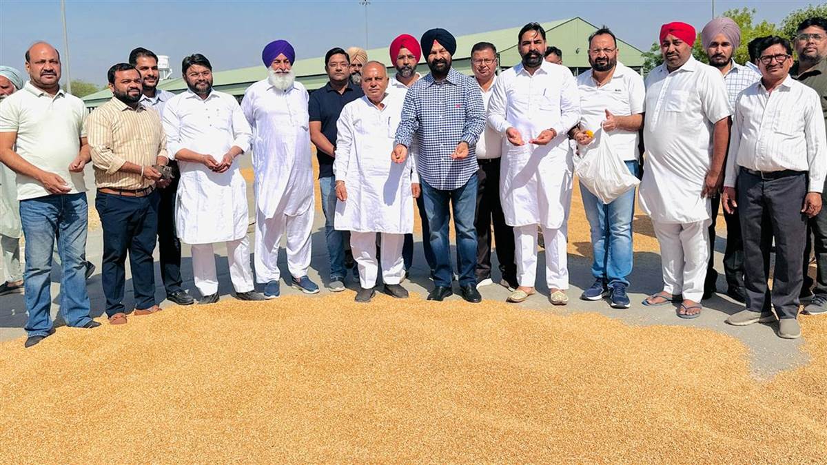 ਵਿਧਾਇਕ ਡਿੰਪੀ ਢਿੱਲੋਂ ਵੱਲੋਂ ਗਿੱਦੜਬਾਹਾ ਵਿਖੇ ਕਣਕ ਦੀ ਸਰਕਾਰੀ ਖਰੀਦ ਦੀ ਸ਼ੁਰੂਆਤ