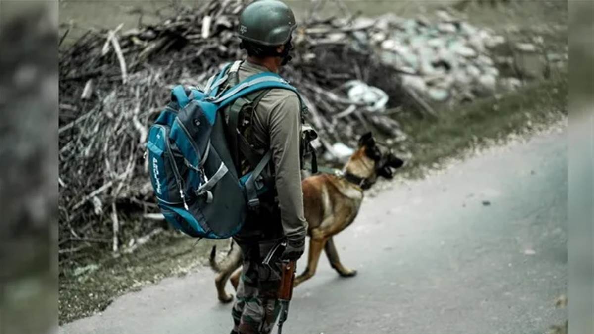 ਜੰਮੂ-ਕਸ਼ਮੀਰ ਦੇ ਰਾਜੌਰੀ 'ਚ IED ਮਿਲਣ ਤੋਂ ਬਾਅਦ ਦਹਿਸ਼ਤ; ਸੁਰੱਖਿਆ ਬਲਾਂ ਨੇ ਇਲਾਕੇ ਨੂੰ ਕੀਤਾ ਸੀਲ ; ਬਾਕਸ 'ਚ ਰੱਖੇ ਸੀ ਬੰਬ