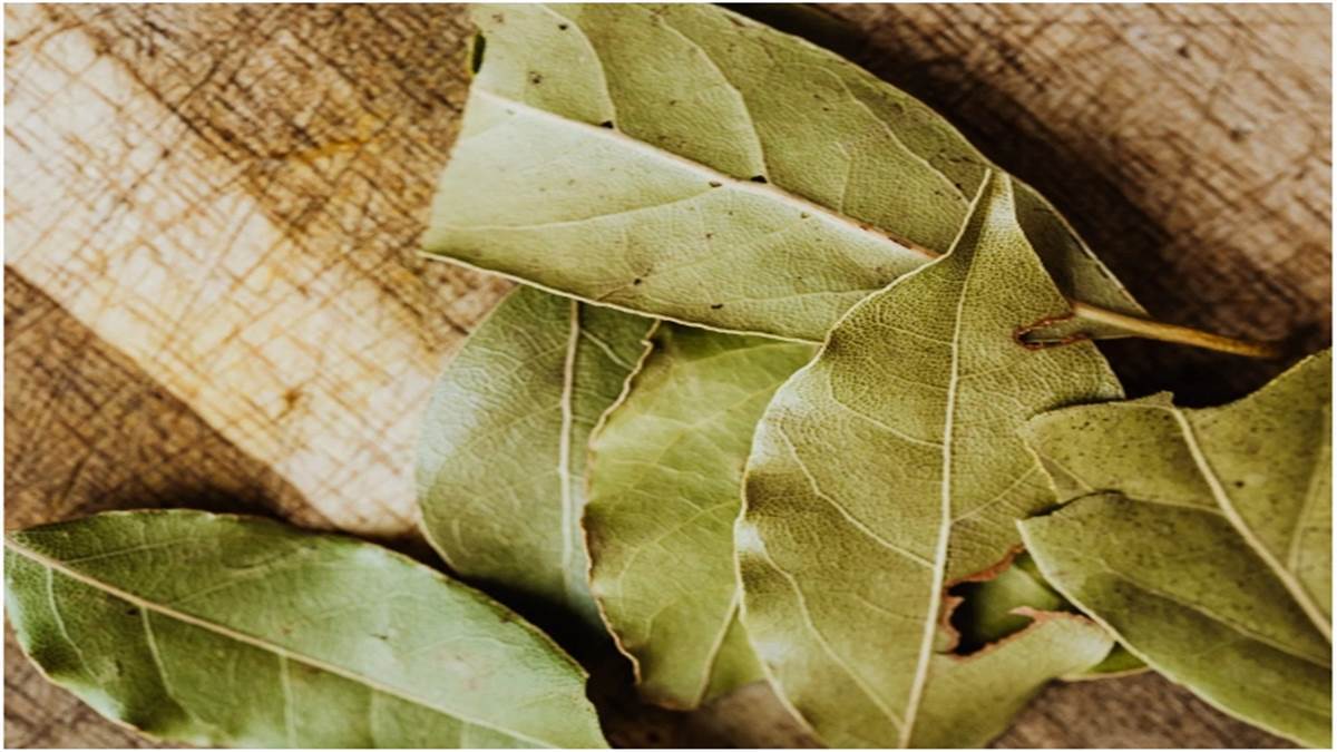 Bay Leaves Side Effects ਪੌਸ਼ਟਿਕ ਤੱਤਾਂ ਨਾਲ ਭਰਪੂਰ ਹੁੰਦਾ ਹੈ ਤੇਜ਼ ਪੱਤਾ, ਪਰ