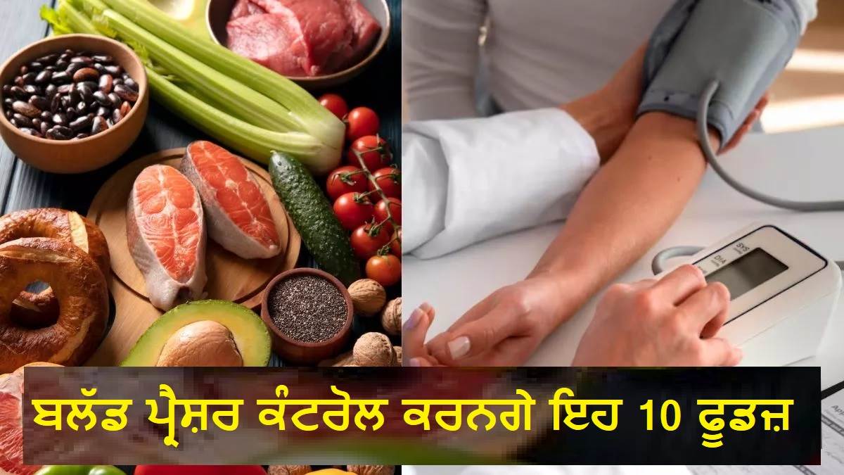 ਸਿਰਫ਼ 10 ਦਿਨਾਂ 'ਚ ਕੰਟਰੋਲ ਹੋ ਜਾਵੇਗਾ HIgh Blood Pressure ! ਬਸ ਰੋਜ਼ ਖਾਣੀਆਂ ਸ਼ੁਰੂ ਕਰਦਿਆਂ ਇਹ 10 ਚੀਜ਼ਾਂ
